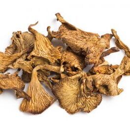 Buy Smooth Chanterelle Online-smooth chanterelle-smooth chanterelles-smooth chanterelle mushrooms- magic mushrooms
