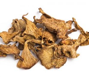 Buy Smooth Chanterelle Online-smooth chanterelle-smooth chanterelles-smooth chanterelle mushrooms- magic mushrooms